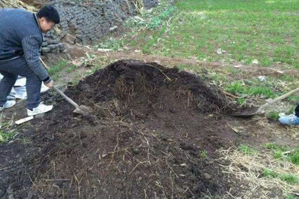 鍐滄潙鎬庝箞璧氶挶鐧芥墜璧峰.jpg